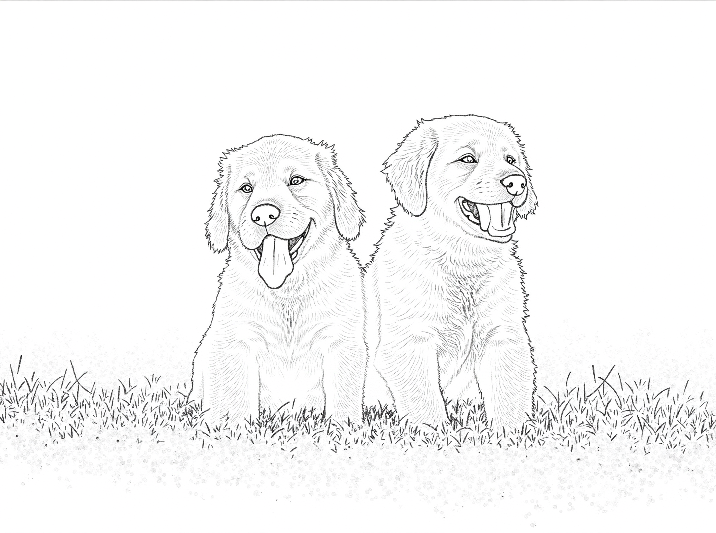 Two golden retriever puppies sitting close together